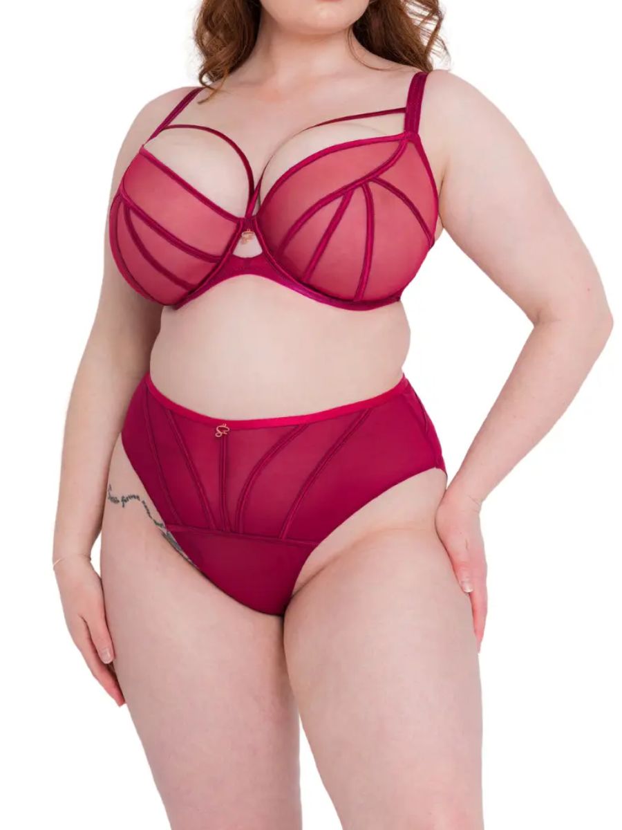 36H Bras by Scantilly by Curvy Kate